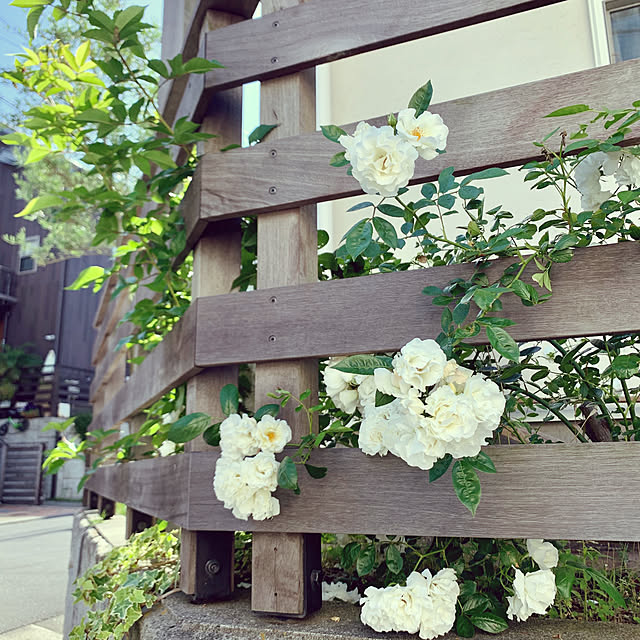 chieka._.roomさんの実例写真