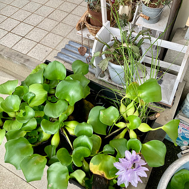 bambiさんの部屋