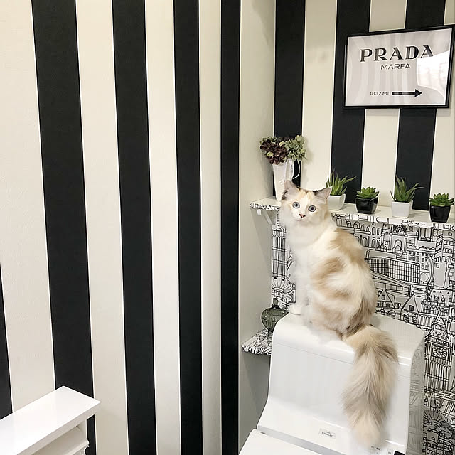 mokkoさんの実例写真