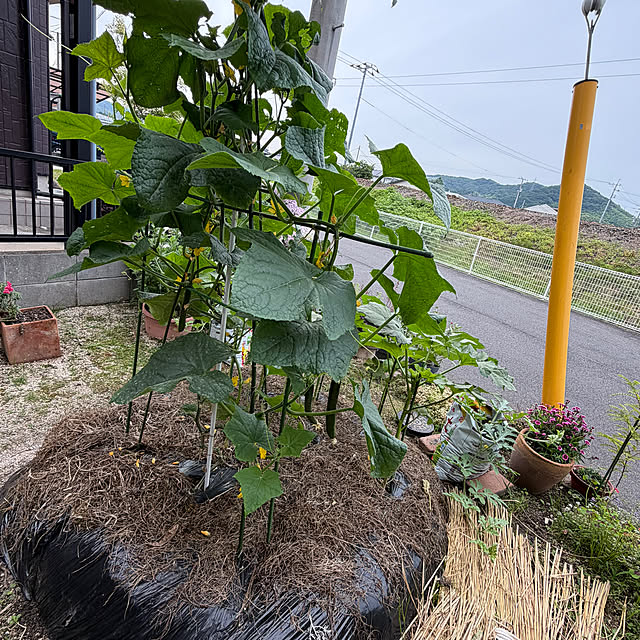 ritsukoさんの部屋