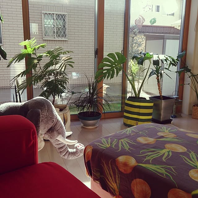 urchinさんの実例写真