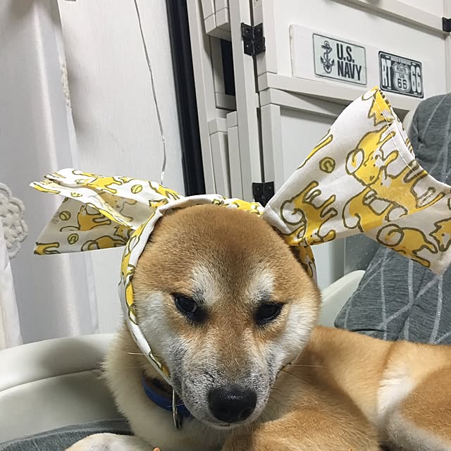kotaさんの実例写真