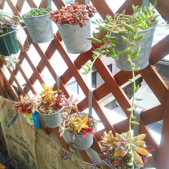 VERANDARJUNさんの実例写真