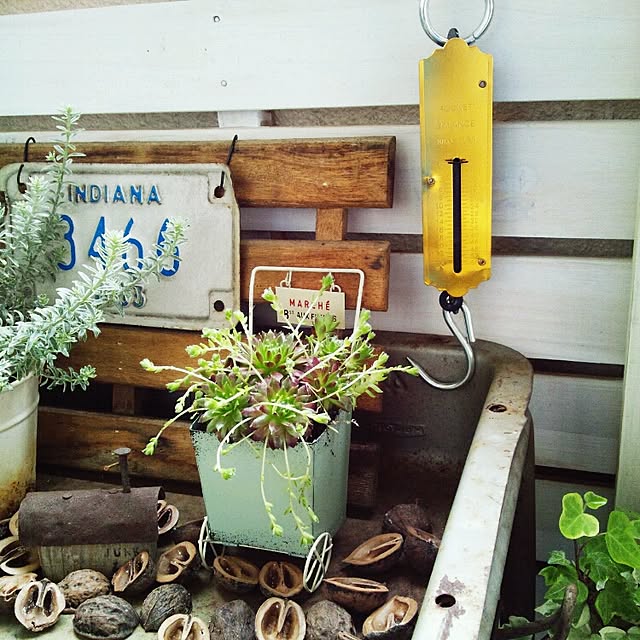 m.hinaさんの実例写真