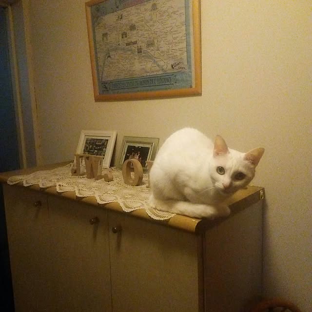 naorinさんの実例写真
