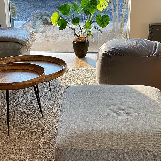 無印良品の家/ねこのいる日常/シンプルライフ/ねこと暮らす/観葉植物のある暮らし...などのインテリア実例 - 2023-01-18 08:26:12