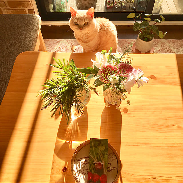 naokoさんの実例写真