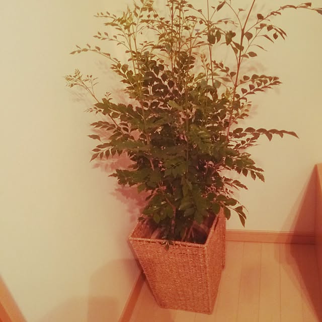yumi0921さんの実例写真