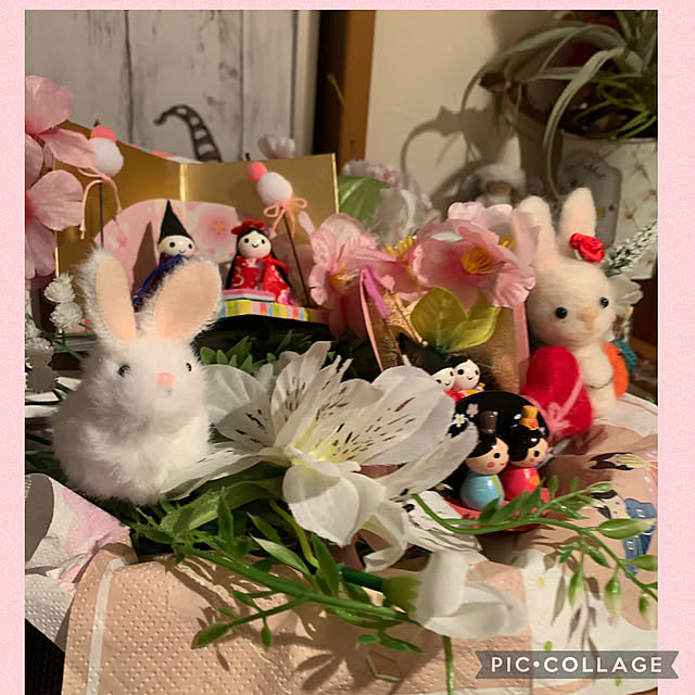 Aqettyさんの部屋