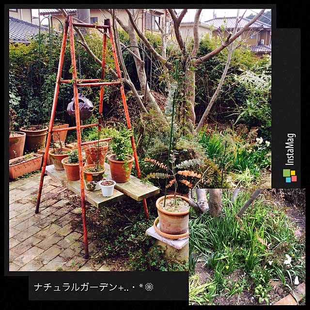 20rose_mamiさんの実例写真