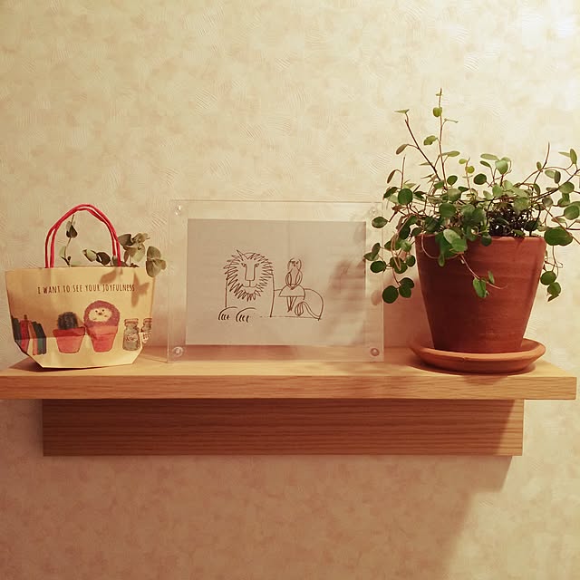 shirayukiさんの実例写真