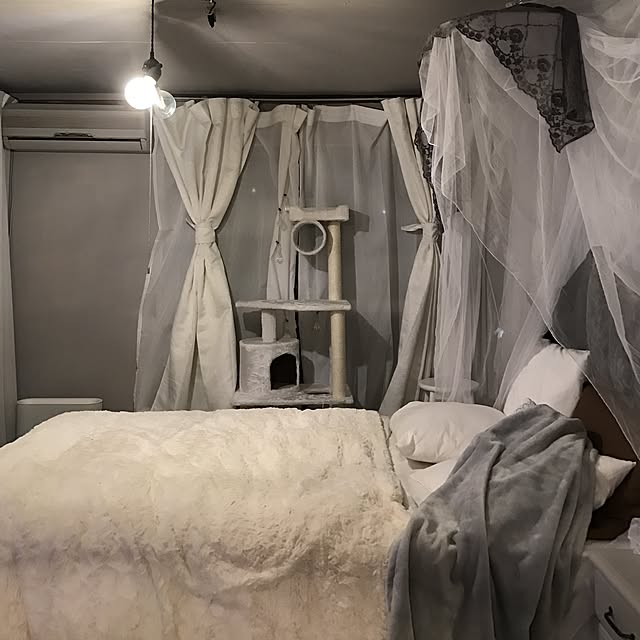Shihoさんの実例写真