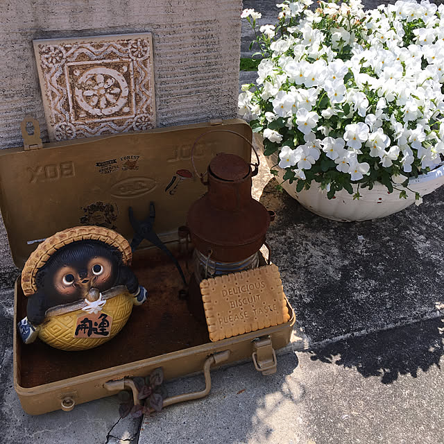 31さんの実例写真