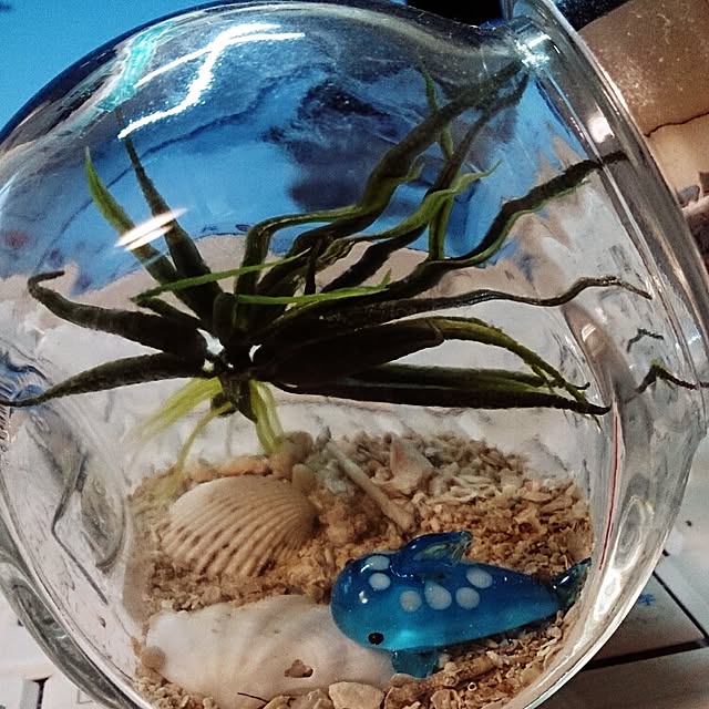 Naturalさんの実例写真
