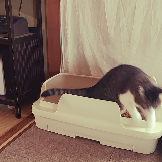 nanohanaさんの部屋
