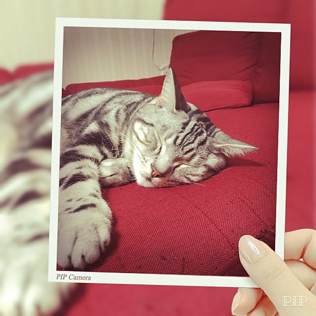 hiro_mashさんの実例写真