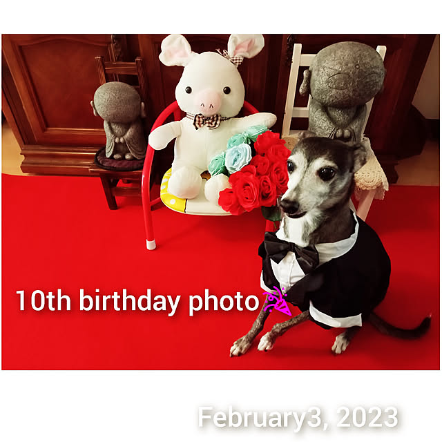 moruさんの実例写真