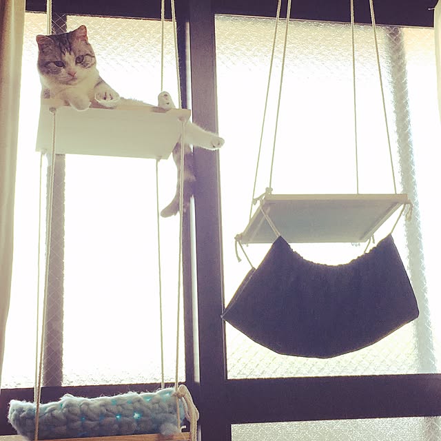 narashimhaさんの実例写真