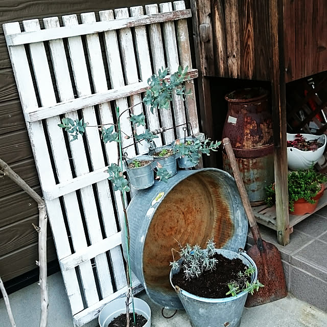 tikuwaさんの実例写真