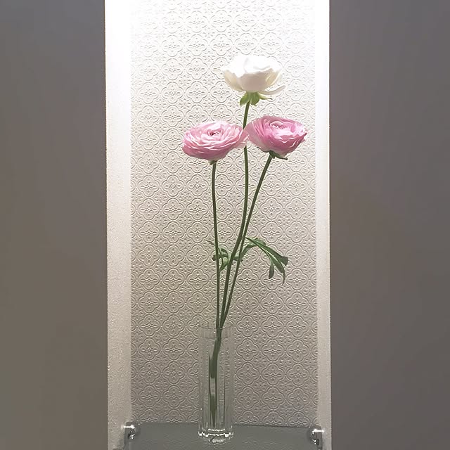 chibimuさんの実例写真