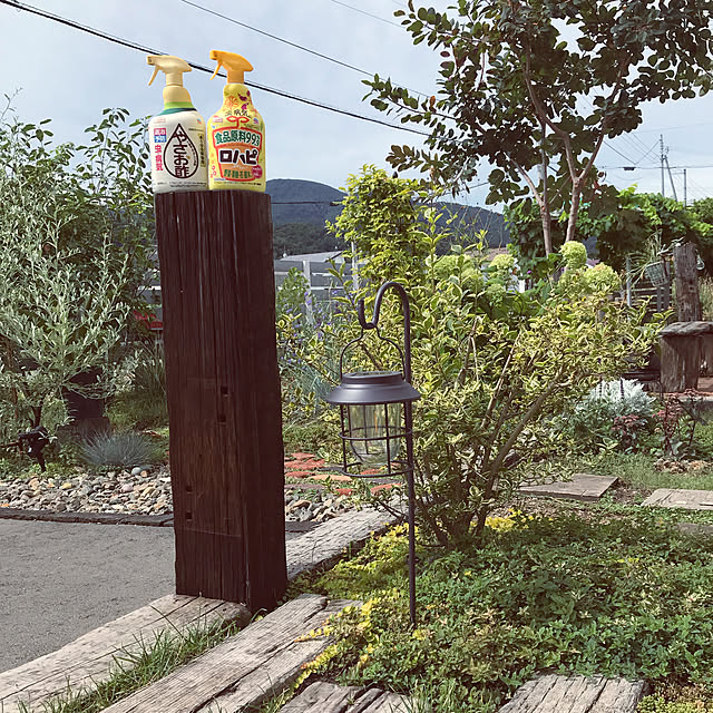 pyyyoさんの実例写真