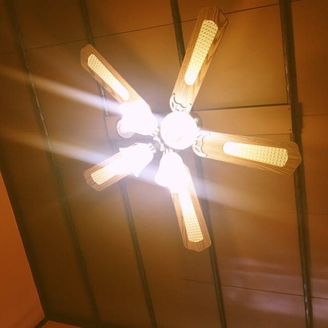 壁/天井のインテリア実例 - 2013-03-17 10:15:42