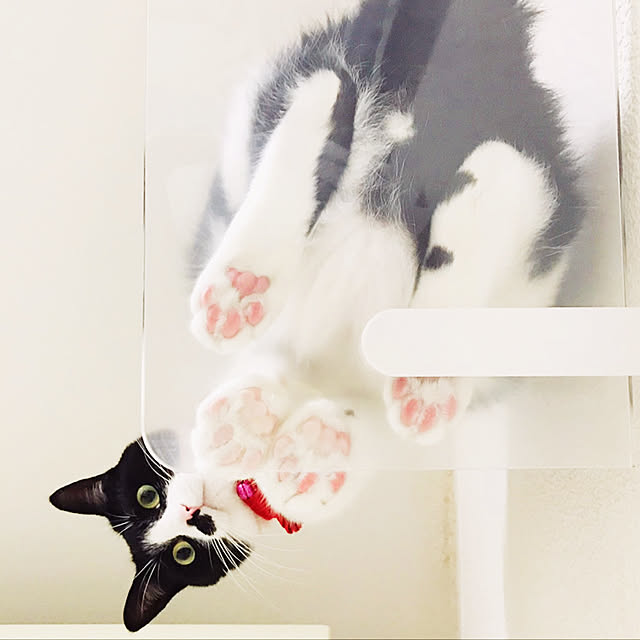 kaboさんの実例写真