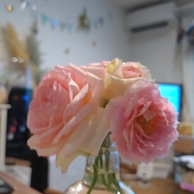 corocoro2525さんの部屋