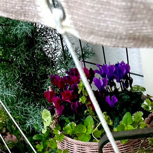 kittyさんの部屋