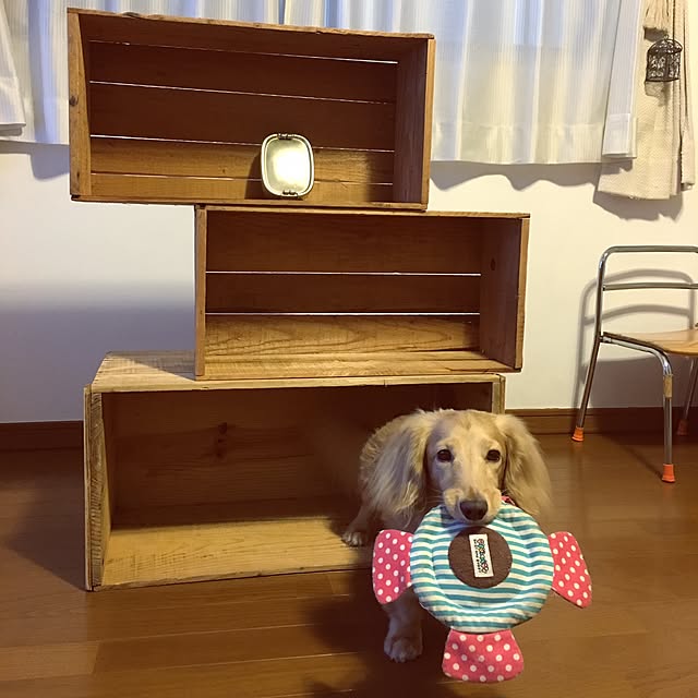 keikoさんの実例写真