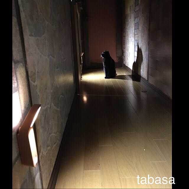 tabasaさんの実例写真