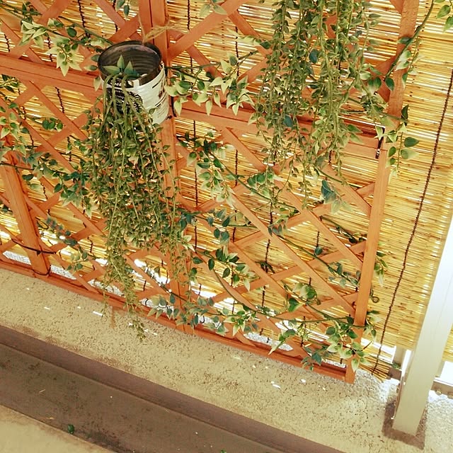 nyankichichanさんの実例写真
