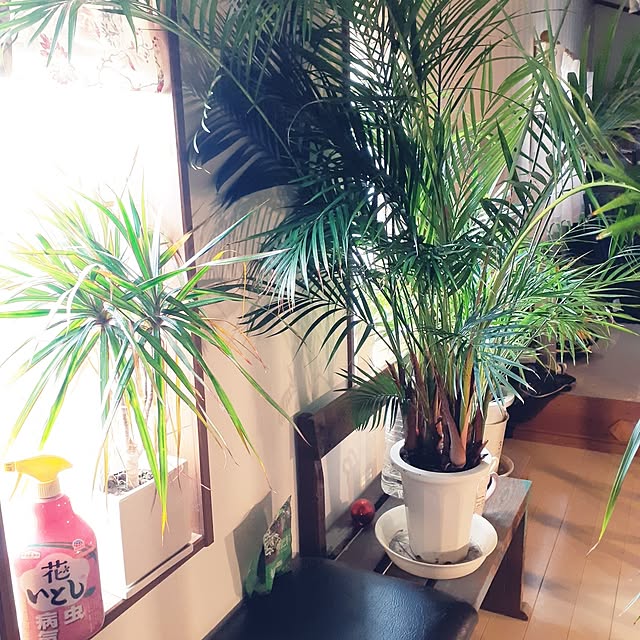 prepreさんの実例写真