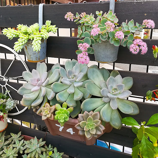 VERANDARJUNさんの実例写真