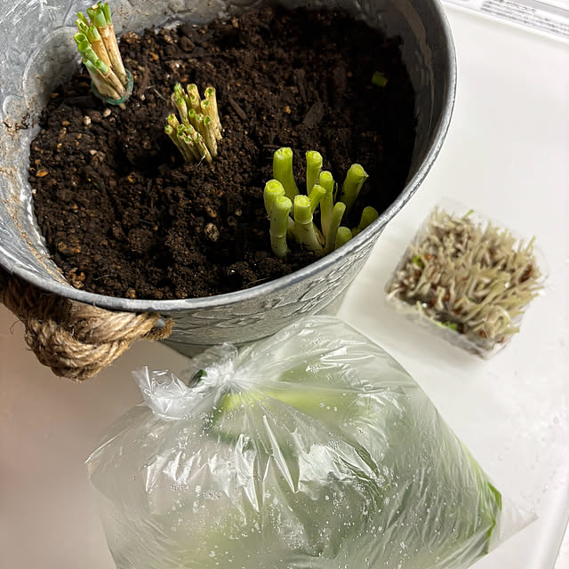 syutmmさんの部屋