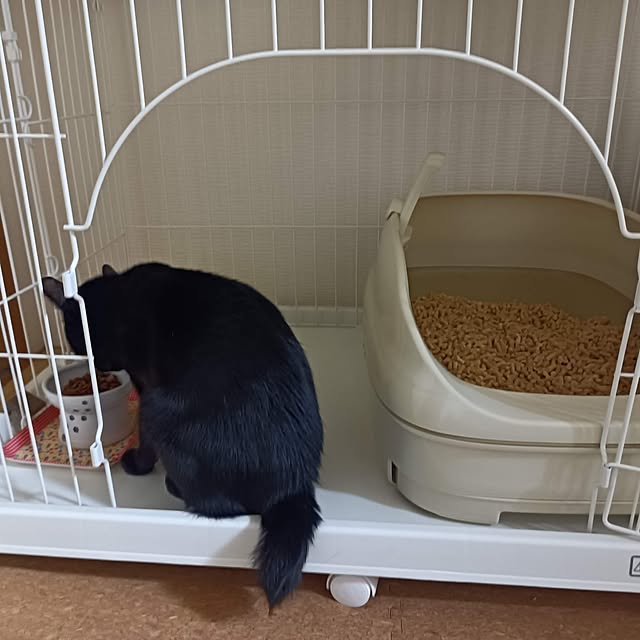 anayoikoさんの実例写真