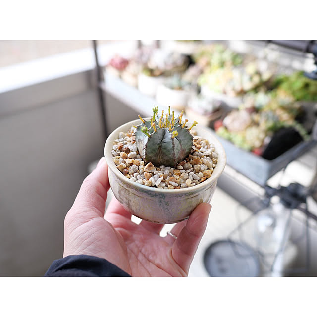 w_end_0625さんの部屋