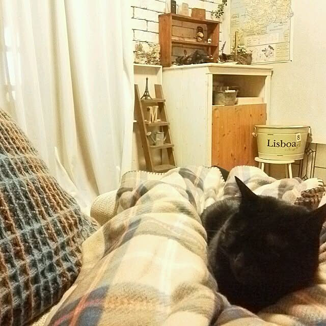 mikiさんの実例写真
