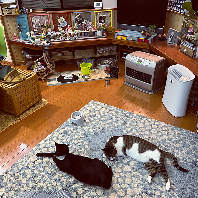 jijiさんの実例写真