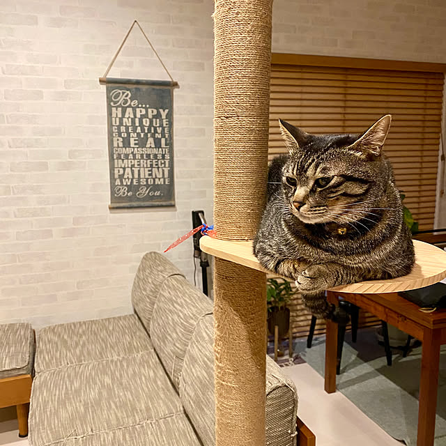 mmeeronさんの実例写真