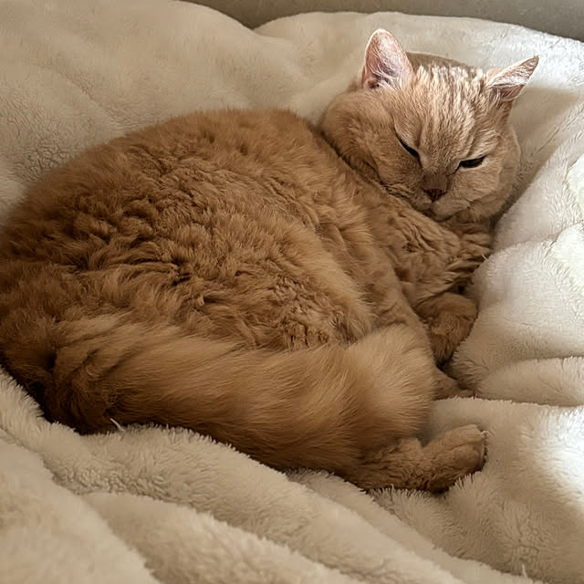 naokoさんの部屋