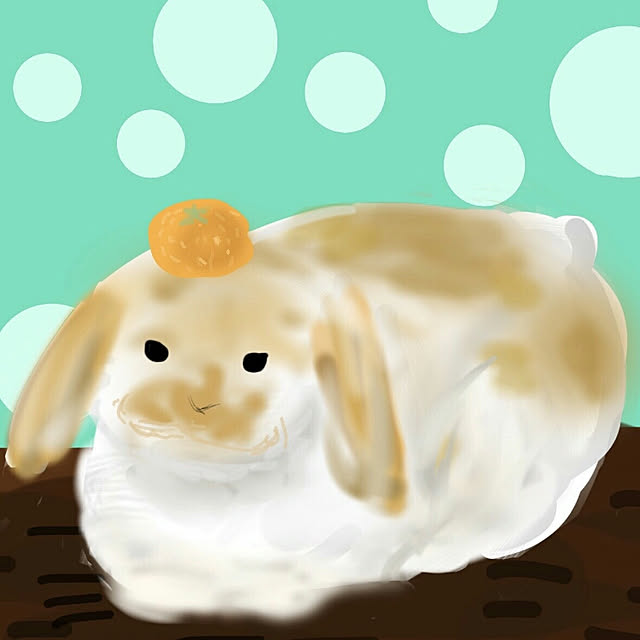 usamamaさんの実例写真