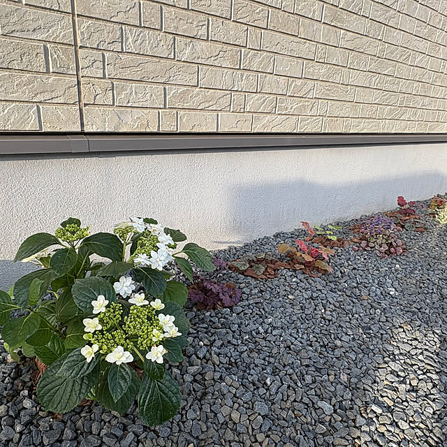 Haruさんの実例写真