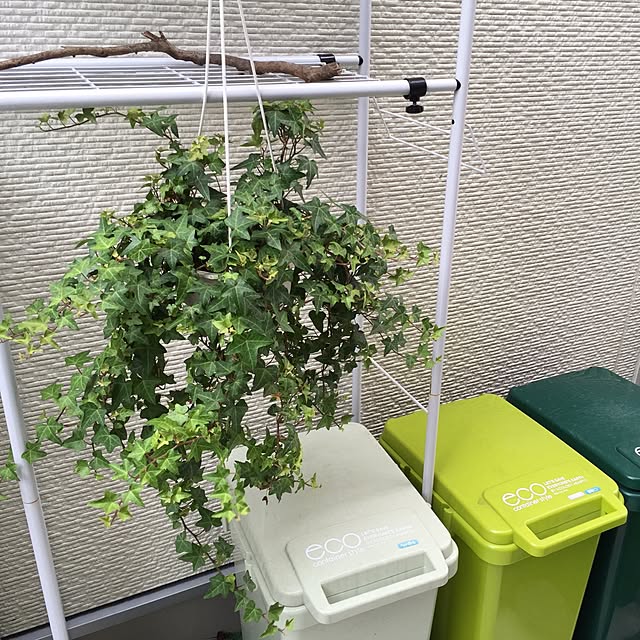 takeboo3さんの実例写真