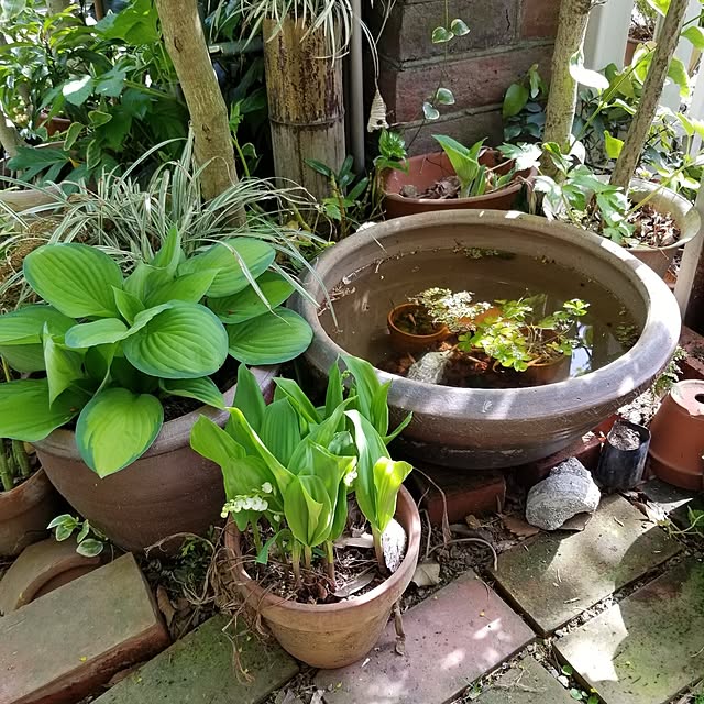 midoriさんの部屋