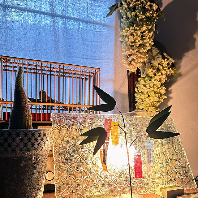 akaidarumaさんの実例写真