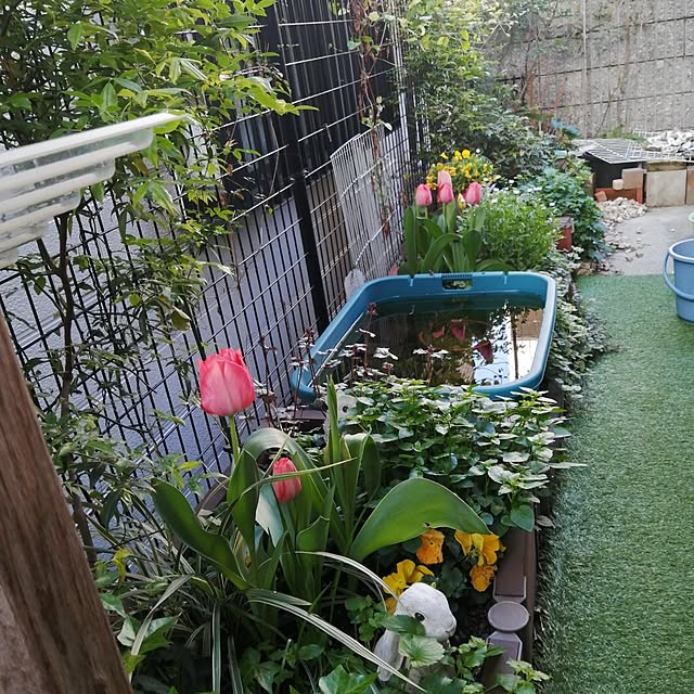 summerさんの部屋