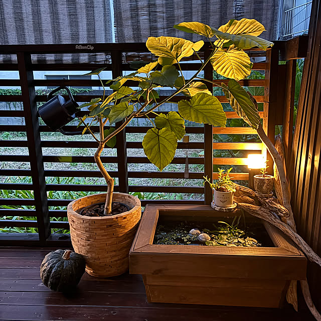 kyoko1124koさんの部屋