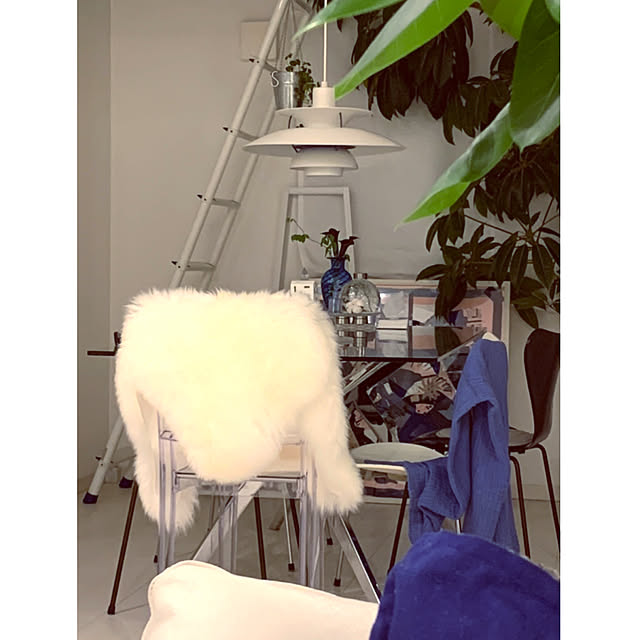Tinoさんの実例写真