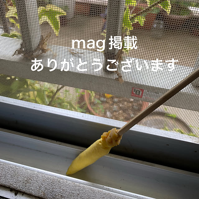 mamiさんの実例写真